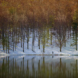 Where Seasons Meet by Charnwood Photography Fine Art