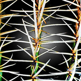 Its Getting to the Point by Joe Schofield