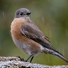 Its getting wet here by Matt Halvorson