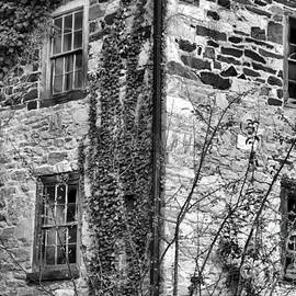 Ivy On The Stone Walls Black And White by Adam Jewell