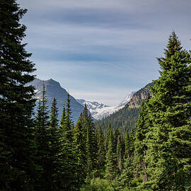 Jackson Glacier Overlook 3 by Cindy Robinson