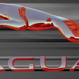 Jaguar on Black by Stefano Senise