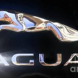 Jaguar Stylized Logo - Hood Emblem  by Stefano Senise