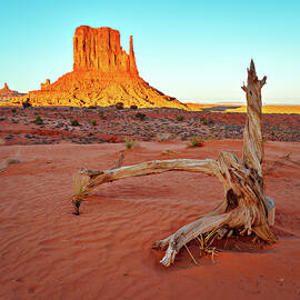 January 2020 Mitten and Stump Sunset by Alain Zarinelli