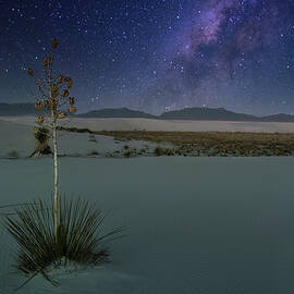 January 2025 Yucca and Galactic Center by Alain Zarinelli