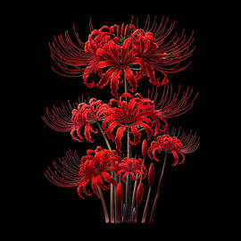 Japanese Spider Lily Lycoris Aesthetic Flower Anime Canvas Print by Job  Shirts - Wonder Canvas