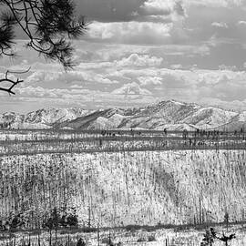 Jemez Mountains Burn in Winter -B W by Mary Lee Dereske