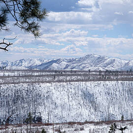Jemez Mountains Burn in Winter -Color by Mary Lee Dereske