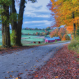 Jenne Farm by Penny Polakoff