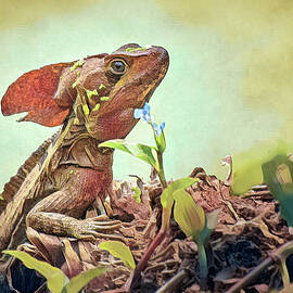 Jesus Christ Lizard  by Rebecca Herranen