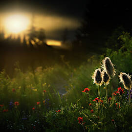 John, Paul, George and Ringo by Ursula Abresch