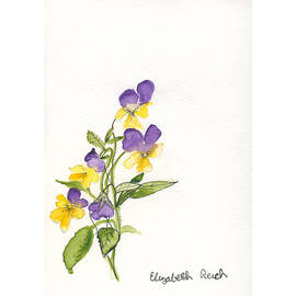 Johnny Jump Ups by Elizabeth Reich