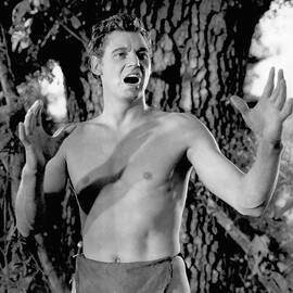 Johnny Weissmuller Classic Tarzan by Silver Screen