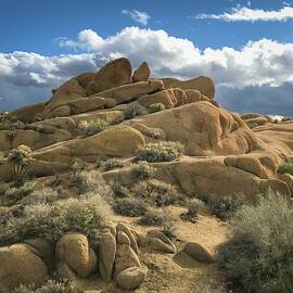 Joshua Tree Granite Rock Formations by Rebecca Herranen