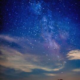 Joshua Tree Milky Way by Rebecca Herranen