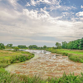July 2023 At the Lake by Alain Zarinelli