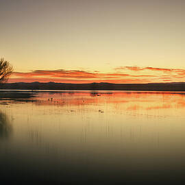 July 2025 Bosque del Apache Sunrise 2025 Reinterpretation by Alain Zarinelli
