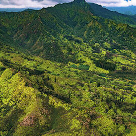 Jungle Mountaintops, Kauai, Hawaii by Abbie Matthews