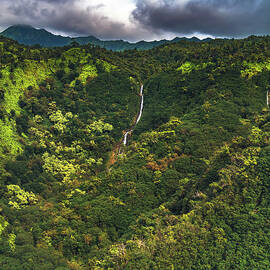 Jungle Waterfall - Kauai, Hawaii by Abbie Matthews