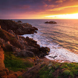 Jurassic Park by Louis Raphael