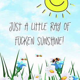 Just A Little Ray Of Fucken Sunshine by Tina LeCour