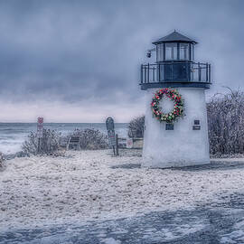 Just Before the Storm by Penny Polakoff