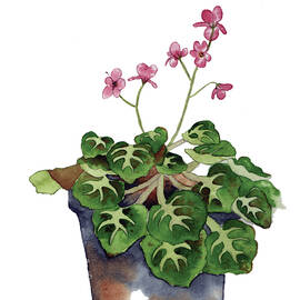 Just Perfect by Catherine Bede