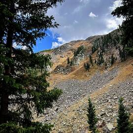 Kachina Peak Taos Ski Valley New Mexico  by Mary Lee Dereske