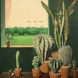 Kakteen und Semaphore - Cacti and semaphore by Georg Scholz by Georg Scholz