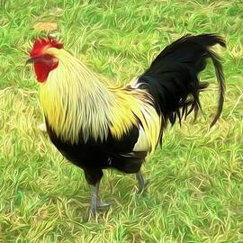 Kauai Wild Rooster by Rebecca Herranen