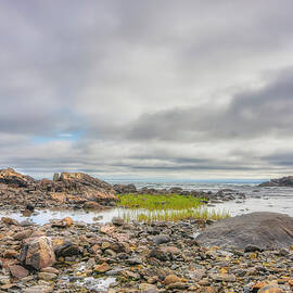 Keep Your Balance by Penny Polakoff