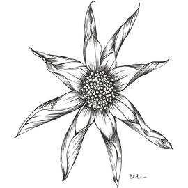 Keeps Getting Better by Catherine Bede