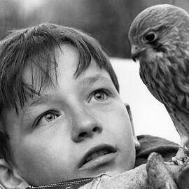 KES David Bradley Ken Loach 1969 Staring at Bird by Silver Screen