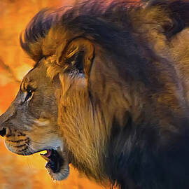 King of the Jungle by Waterdancer