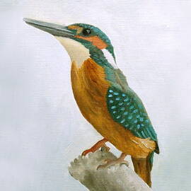 Kingfisher by Angeles M Pomata