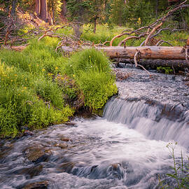 KIngs Creek Tranquility by Mike Lee