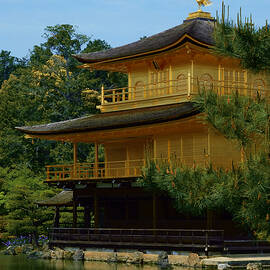 Kinkaku-ji Golden Pavilion by Travel Essayist