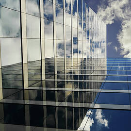 kiss the sky by Laura Fasulo