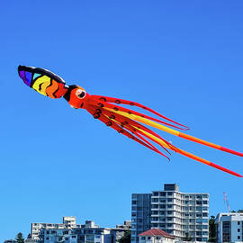 Kite Festival No 2 by Andre Petrov