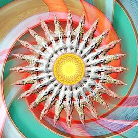 Kiwi by David Manlove