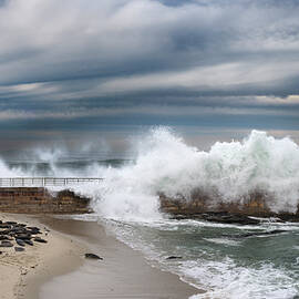 La Jolla Children's Pool by William Dunigan