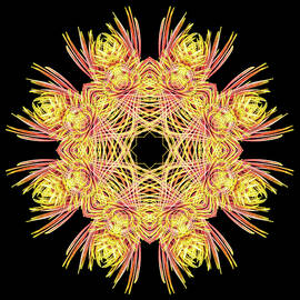 Labyrinth of Life by Elvira Peretsman