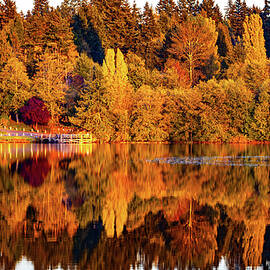 Lake Ballinger Golden by Tommy Farnsworth