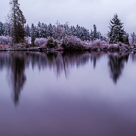 Lake Ballinger Reflections by Tommy Farnsworth
