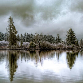 Lake Ballinger Snowy Reflections by Tommy Farnsworth