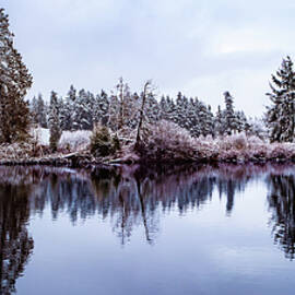 Lake Ballinger Winter Reflection by Tommy Farnsworth