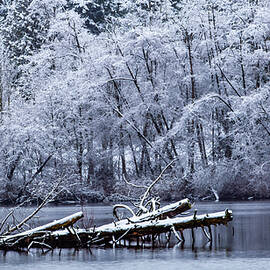 Lake Ballinger Winter by Tommy Farnsworth