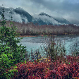 Lake Quinault and Olympics by Abbie Matthews