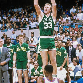 Larry Bird by Andrew D. Bernstein
