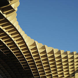 Las Setas de Sevilla - Study 1 by Richard Reeve